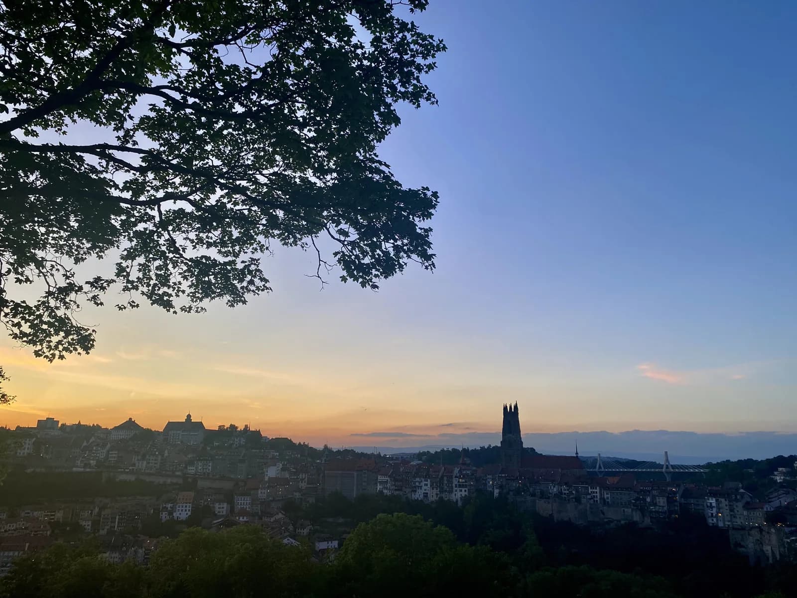 Fribourg, Fribourg