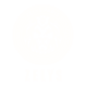 Zelys Paris